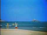 video pic