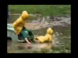 Voir la video