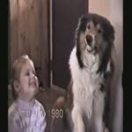 Voir la video