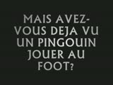 Voir la video