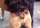 Voir la video