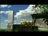 video pic