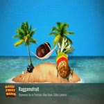 Voir la video