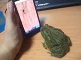 Voir la video