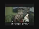 Voir la video